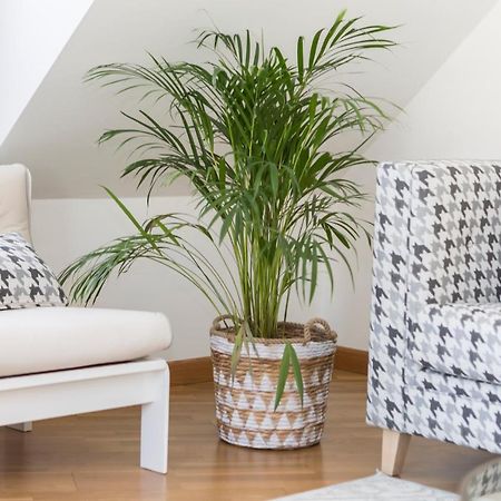 Apartamento Boutique Con Terraza Y Vistas Al Mar. Porto Vilanova Villanueva De Arosa Exterior foto